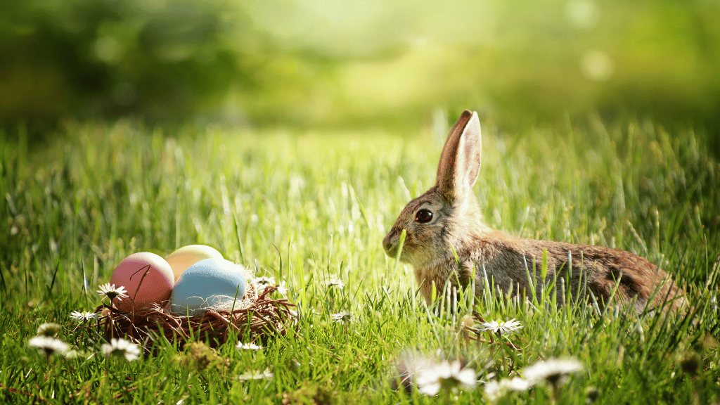 Osterfest Menü Historie zu Ostern